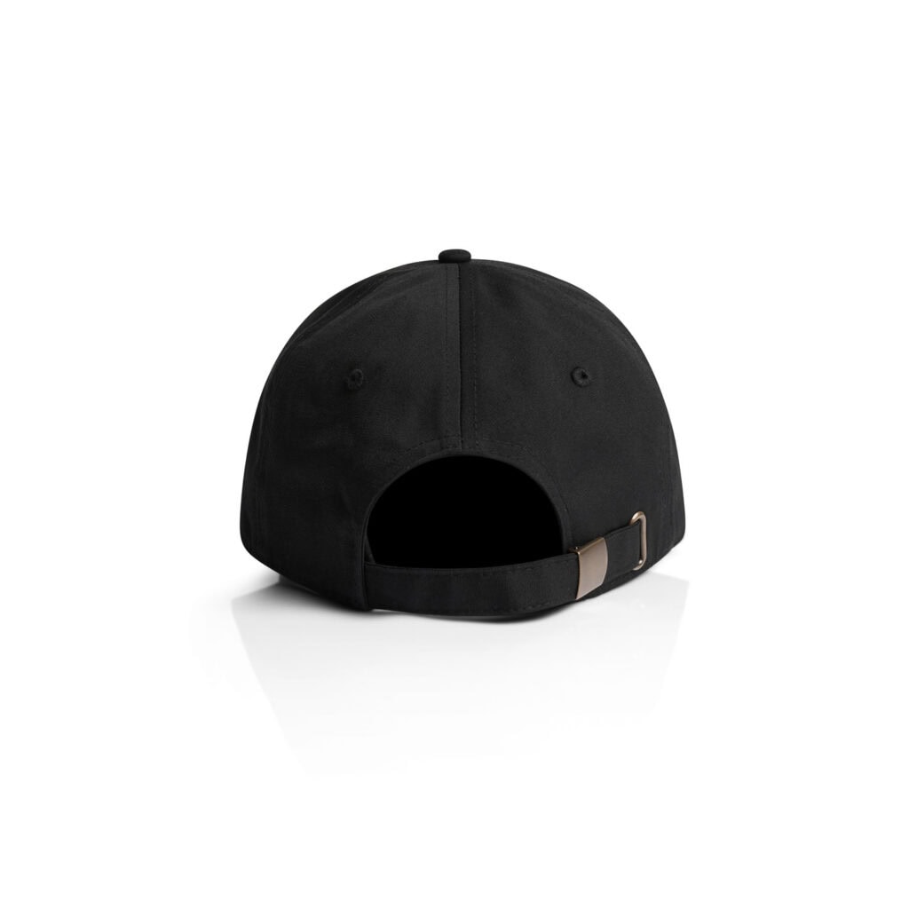 1130_ACCESS_CAP_BLACK_BACK__84269